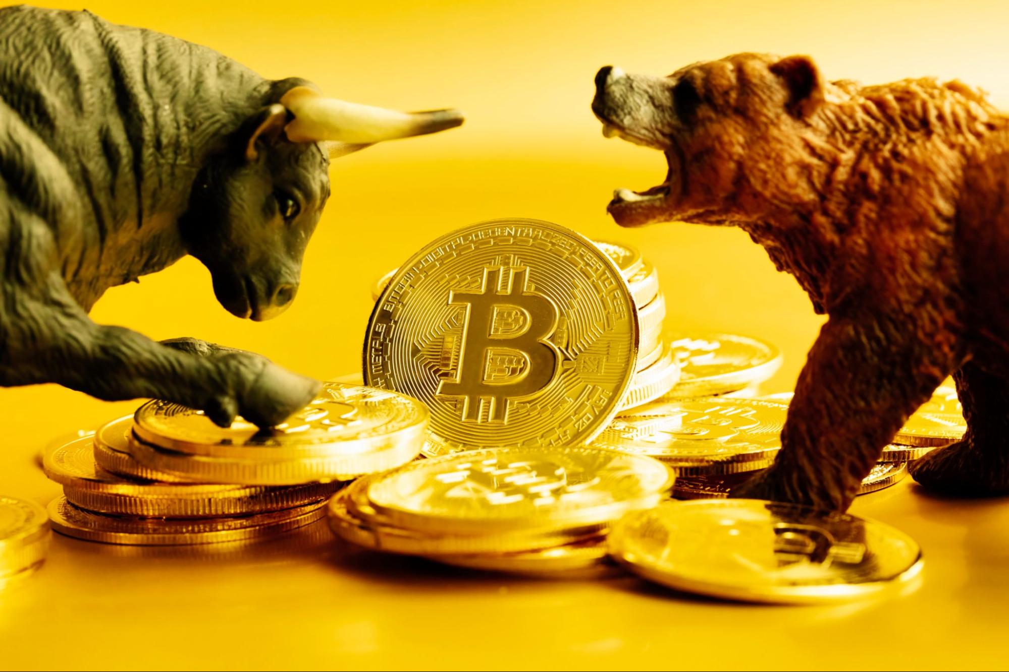 Best Crypto Presales To Buy To Beat The Bears