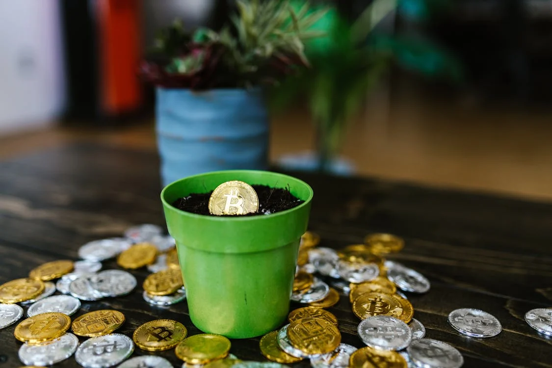 Investing in Bitcoin vs. Buying Altcoins in 2025