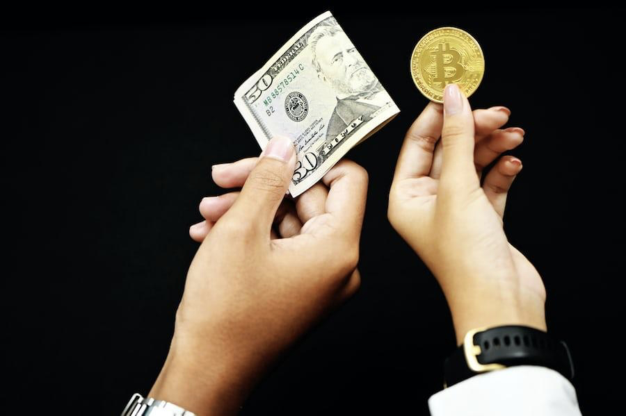 A Guide to New Cryptos For Newbies