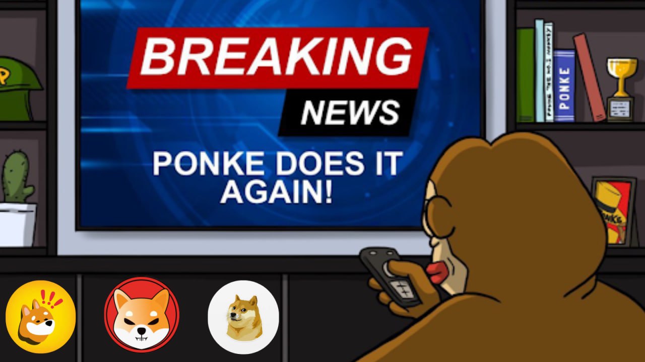 What happened last week in memecoins in the crypto world (Nov. 13th- 20th)