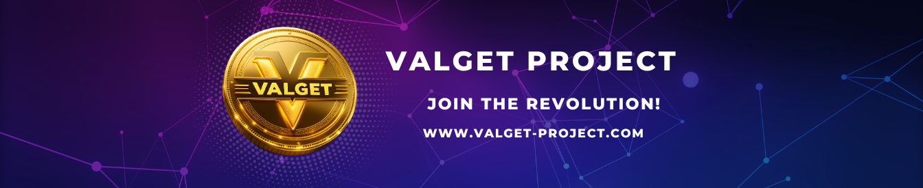 VALGET PROJECT profile banner