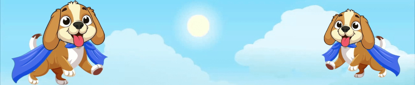 Boyita profile banner