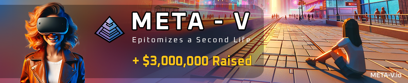META-V profile banner