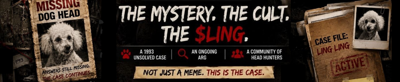 LingLing profile banner