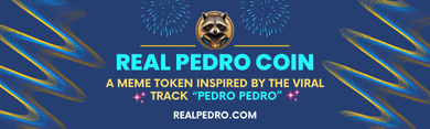 Real Pedro Coin profile banner