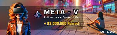 META-V profile banner