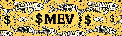 Mr MEV profile banner