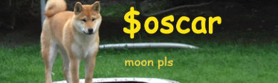 OSCAR profile banner
