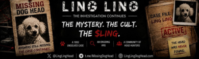 LingLing profile banner