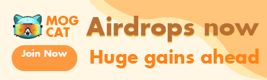 MOG CAT profile banner