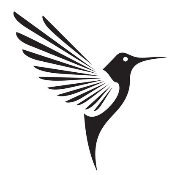 Flutter Coin