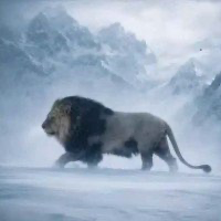 The Tibetan snow lion