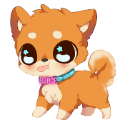 Small Doge Coin