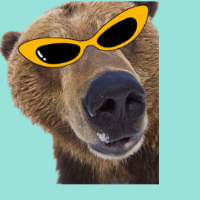 Grizly Bear