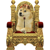 DOGEKING