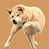 RebelInuX