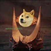 LordOfTheDoges