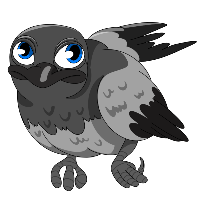 Baby Crow