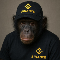 BoNoBo - $BNB