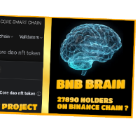 Bnb brain
