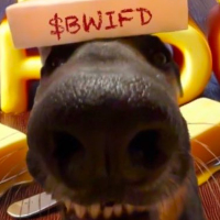 Butter Wif Dog Pack