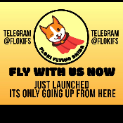 Floki Flying Shiba