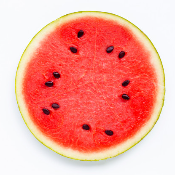 MelonMusk