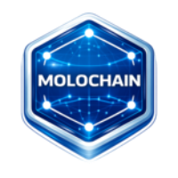 MOLO CHAIN