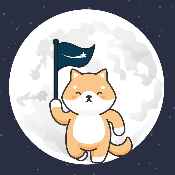 BABY DOGE STARS