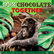 ChocoApe