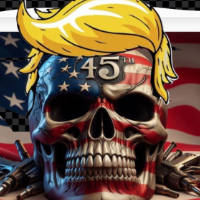 HAIR OF TRUMP