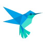 Flutter Coin