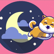 BabyShibamoon