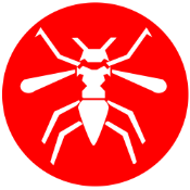 Mosquito
