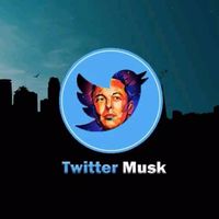 Twitter Musk