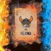 Floki Fire