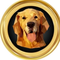 DOGO PEPE