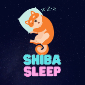 Shiba Sleep