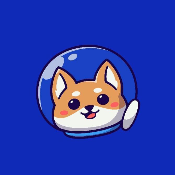 United Doge Finance