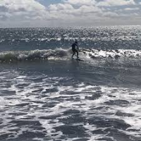 Crypto Summer