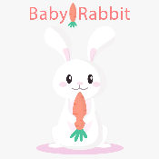 Baby Rabbit