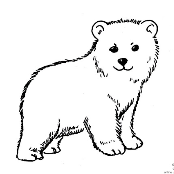 polarBear