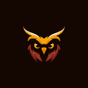 OwlRise