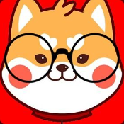 FinanceDoge Coin