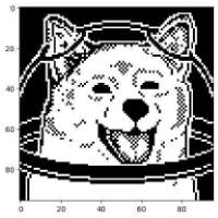 doge