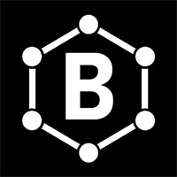 Benzene Network System