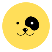 FlokiRise