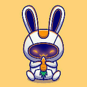 LittleRabbitRobot