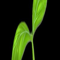 Terra Flux Coin🌱