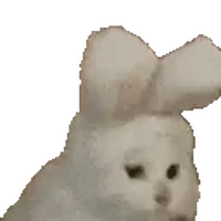 NOD CAT
